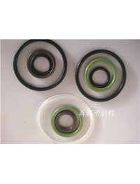 氯丁橡膠O型圈